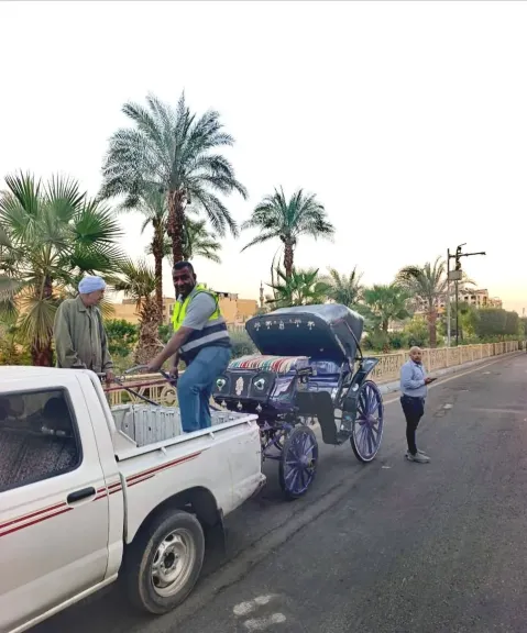 عربات حنطور مخالفة