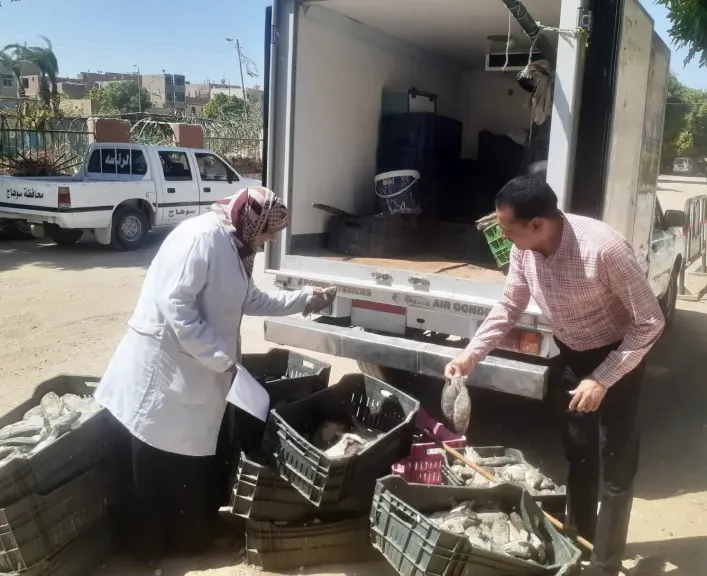 جانب من الحملات