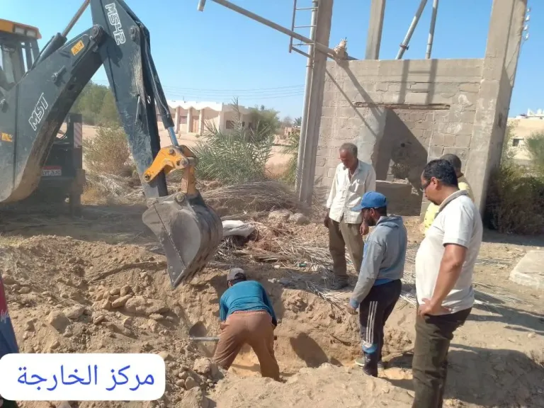جهود الوحداد المحلية بالوادي الجديد