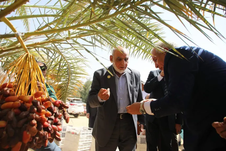 مزرعة نخيل
