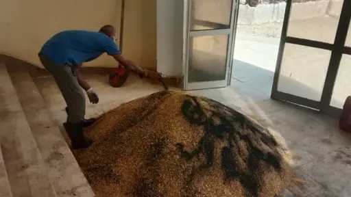 أخبار