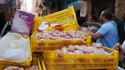 ضبط فراخ فاسدة وعصائر مجهولة...
