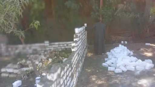 أخبار