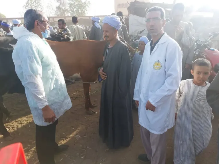 قوافل بيطرية