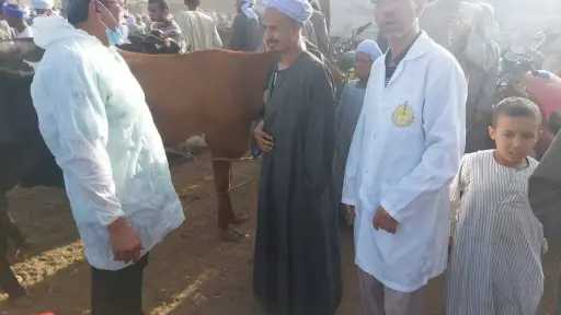 منوعات