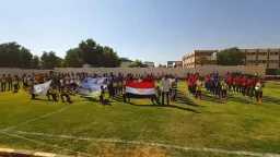 ملاعب