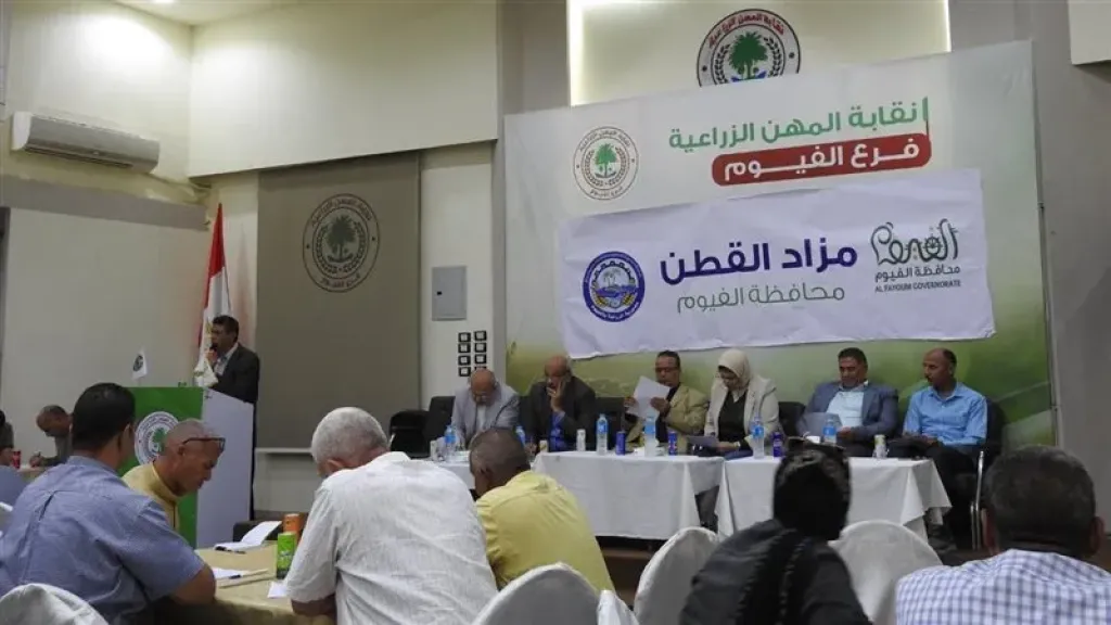 مزاد القطن بالفيوم