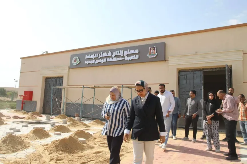 جولة نائب محافظ الوادي الجديد