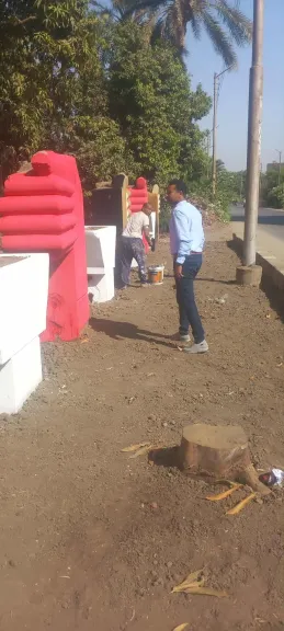 تزيين شوارع قرية بهجورة بنجع حمادي بـ "علم مصر"