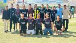 ملاعب