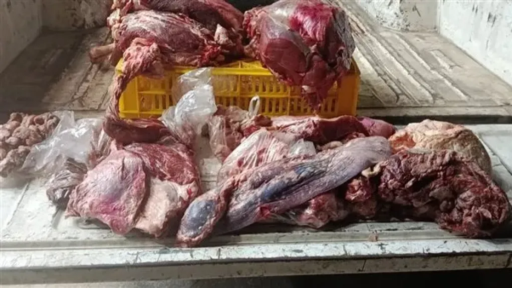 المضبوطات