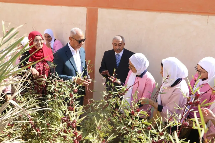 جمع الكركديه