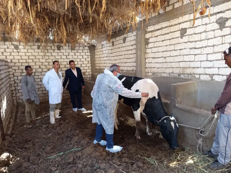 حملات بيطرية