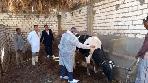 منوعات