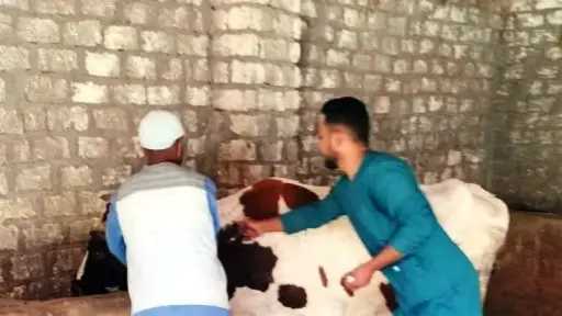 إنطلاق فعاليات الحملة القومية لتحصين...