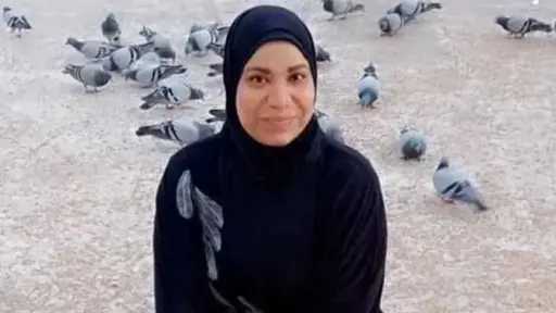 أخبار