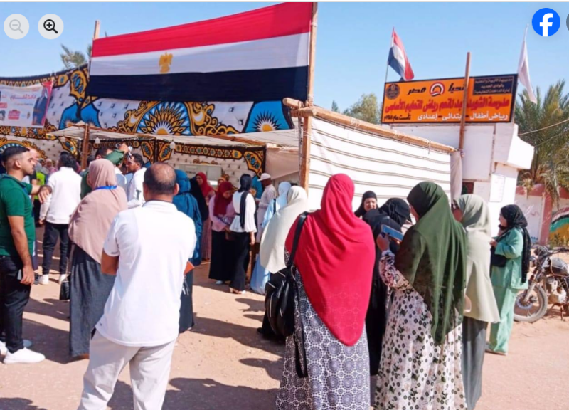 انتخابات مجلس النواب بالوادي الجديد