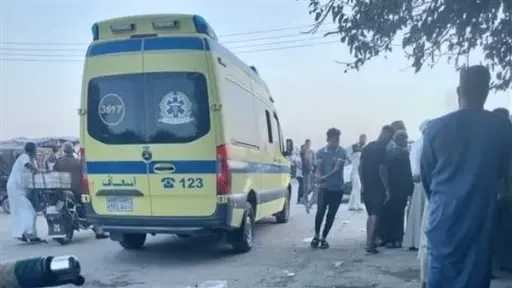 بالأسماء.. مصرع ربة منزل ومسن...