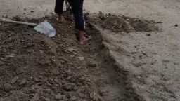 هموم الصعايدة