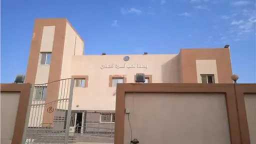 محافظة أسوان : 22 شخصا...