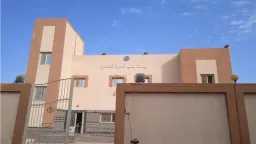 محافظة أسوان : 22 شخصا...