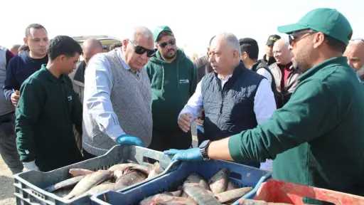 محافظ الوادي الجديد يتفقد توسعات...