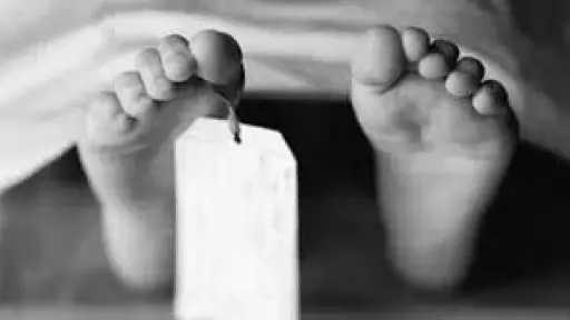 مصرع طفل في انقلاب عربة...