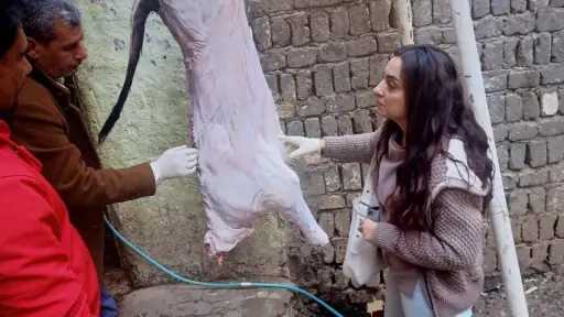 بيطرى المنيا يصادر 221 كجم...