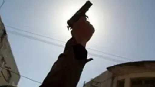 حبس عامل قتل شقيقه بطلق...