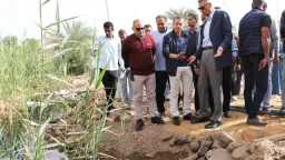 خلال جولة لـ محافظ أسوان...