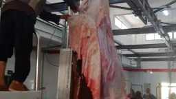 بتكلفة 21.8 مليون جنيه .....