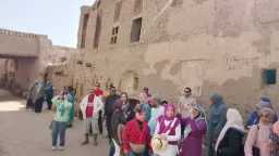 الوادي الجديد تستقبل الفوج الرابع...