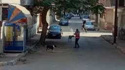 ” بيطري قنا ” ينجح...