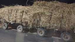 تحرير مخالفات لمقطورات قصب متوقفة...