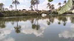 مصرع سيدة في انقلاب ميكروباص...