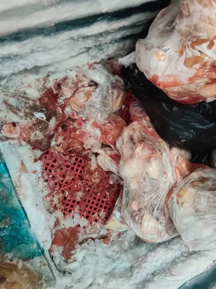 جانب من المضبوطات