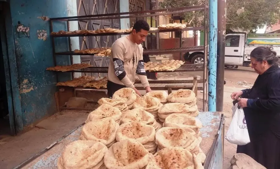 جانب من الحملات