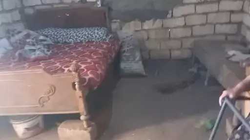 هموم الصعايدة