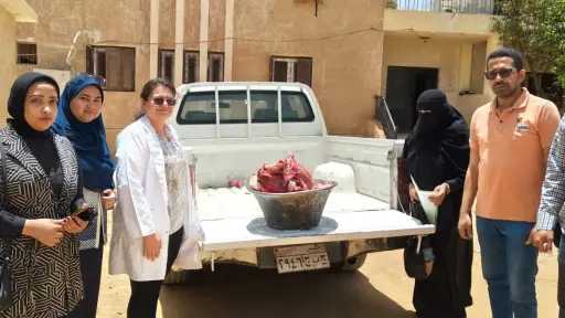 حوادث