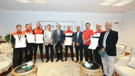 ملاعب