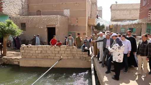 تحقيقات