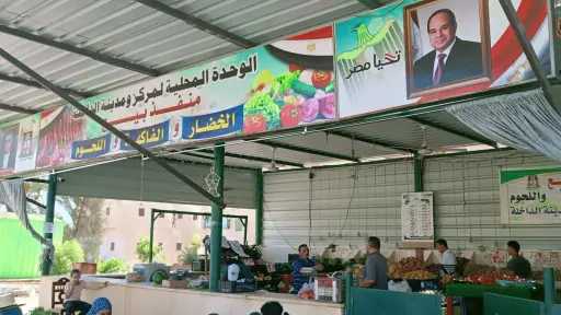 أخبار