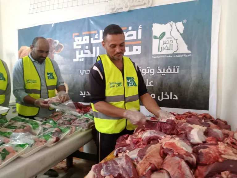 أخبار