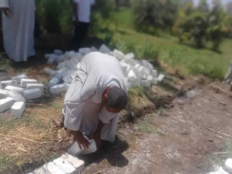 أخبار
