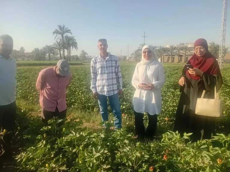 منوعات