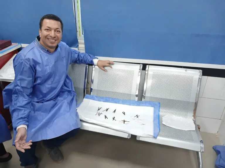 منوعات