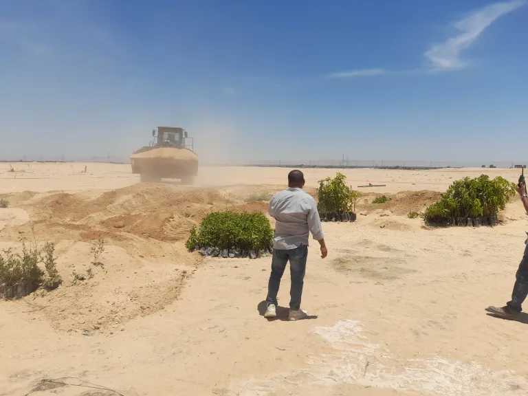 أخبار