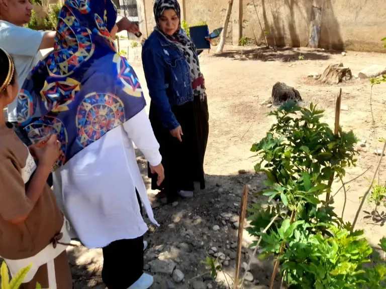 منوعات