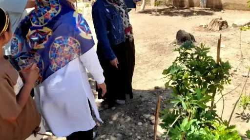 منوعات