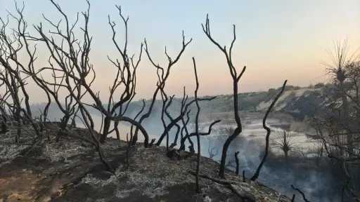 حوادث